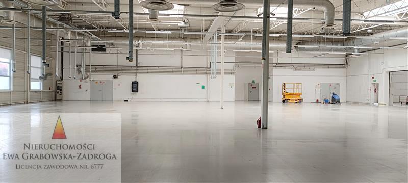 GE0 1 12202721 2 115