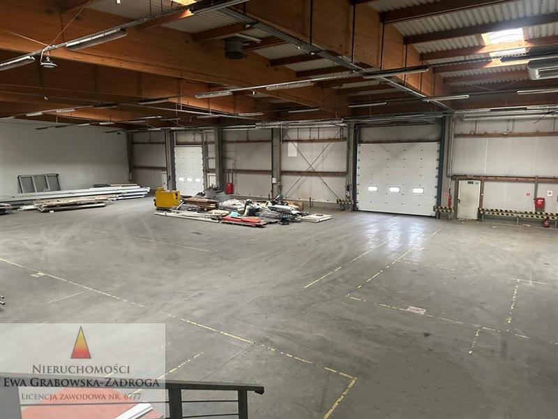 GE0 1 12304870 0 3