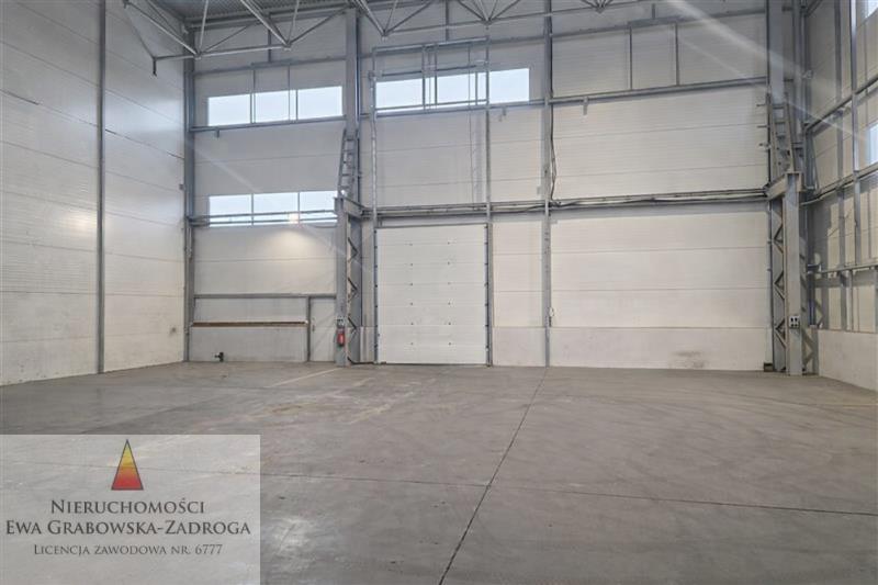 GE0 1 12399969 7 44